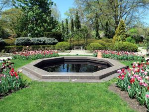 Cleveland-Botanical-Garden-takes-center-stage-of-University-Circle-with-its-outdoor-gardens-and-greenhouses