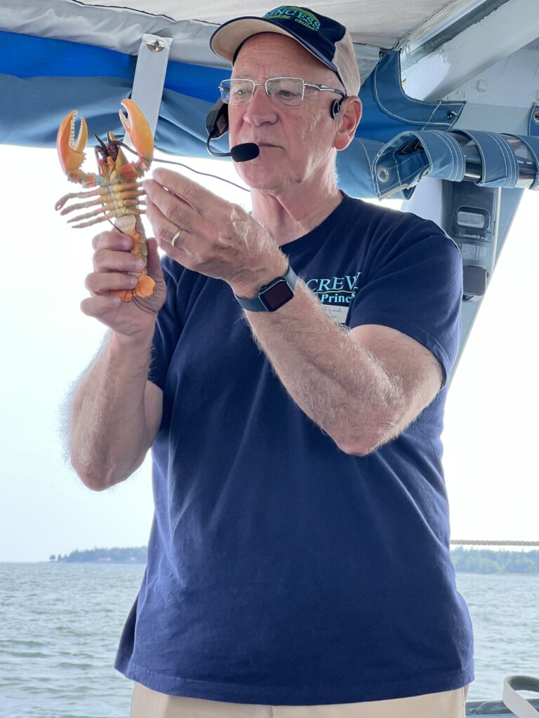 The Sea Princess explains Maine lobster