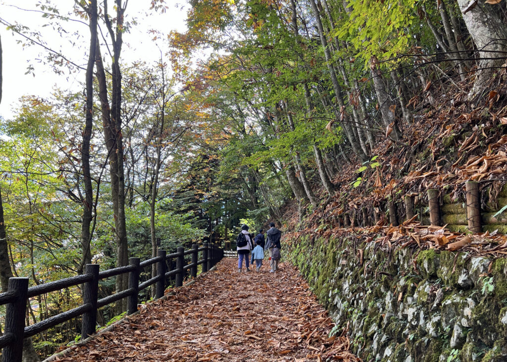 Forest of the Tokyo CItizen in Hinohara