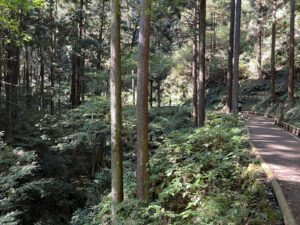 Hossawa Falls in Hinohara